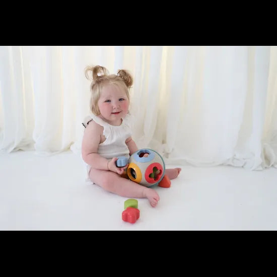 Bio Rolling Ball Shape Sorter - Modern Teaching Aids NZ