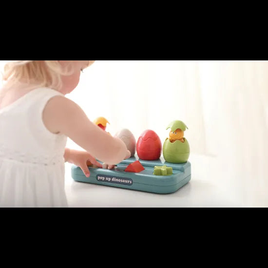 Bio Pop Up Dinosaur - Modern Teaching Aids NZ