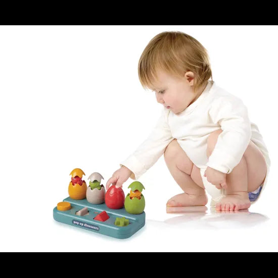 Bio Pop Up Dinosaur - Modern Teaching Aids NZ