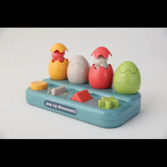 Bio Pop Up Dinosaur - Modern Teaching Aids NZ