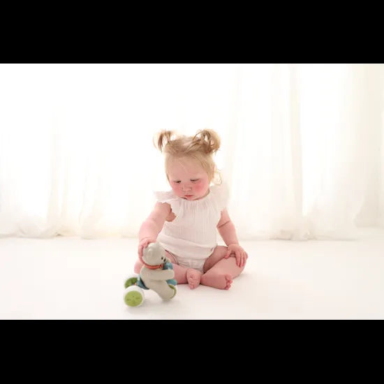 Bio Push and Go Teddy - Modern Teaching Aids NZ