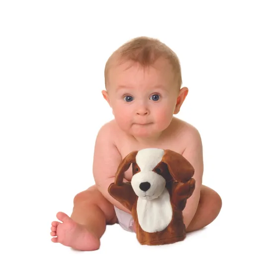 Dog Hand Puppet - Modern Teaching Aids NZ