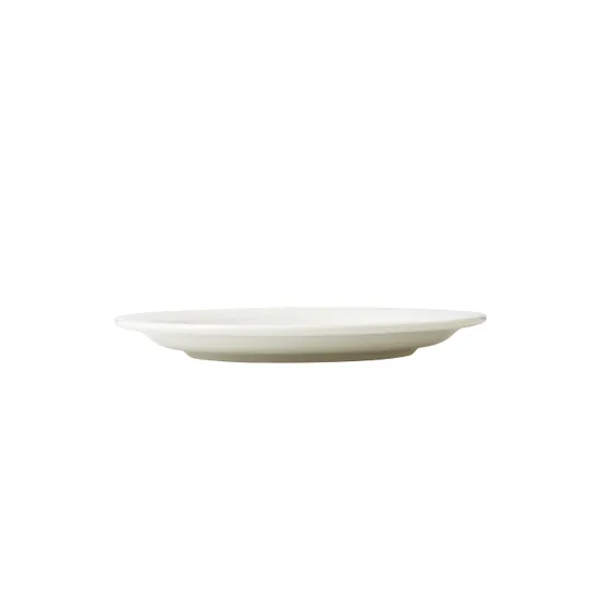 Ceramic Plate 205mm Pk 12 - Modern Teaching Aids NZ