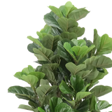 Artificial Fiddle Leaf Fig - 180 cm (H) - Modern Teaching Aids NZ