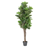 Artificial Fiddle Leaf Fig - 180 cm (H) - Modern Teaching Aids NZ