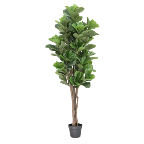 Artificial Fiddle Leaf Fig - 180 cm (H) - Modern Teaching Aids NZ
