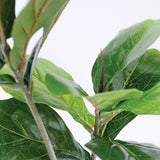 Artificial Fiddle Leaf Fig Plant - 70 cm - Modern Teaching Aids NZ