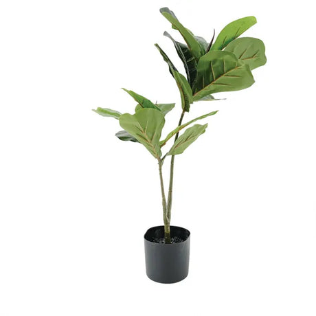 Artificial Fiddle Leaf Fig Plant - 70 cm - Modern Teaching Aids NZ