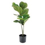 Artificial Fiddle Leaf Fig Plant - 70 cm - Modern Teaching Aids NZ