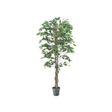 Artificial Ficus Plant - 180 cm - Modern Teaching Aids NZ