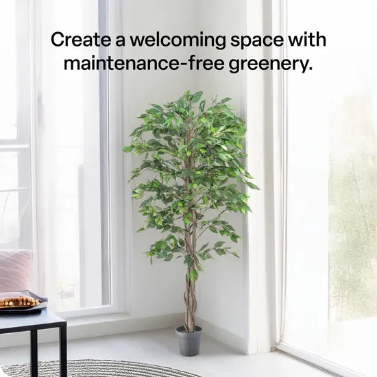 Artificial Ficus Plant - 180 cm - Modern Teaching Aids NZ