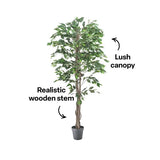 Artificial Ficus Plant - 180 cm - Modern Teaching Aids NZ