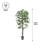 Artificial Ficus Plant - 180 cm - Modern Teaching Aids NZ