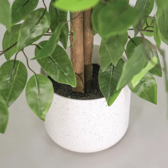 Artificial Ficus Plant - 90 cm - Modern Teaching Aids NZ
