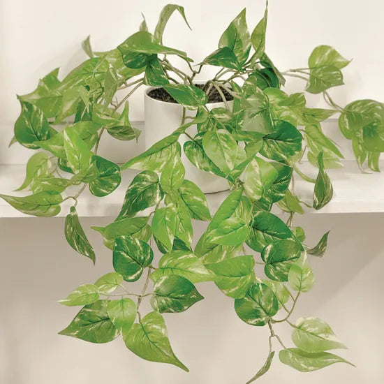 Artificial Devil's Ivy Plant - 35 cm - Modern Teaching Aids NZ