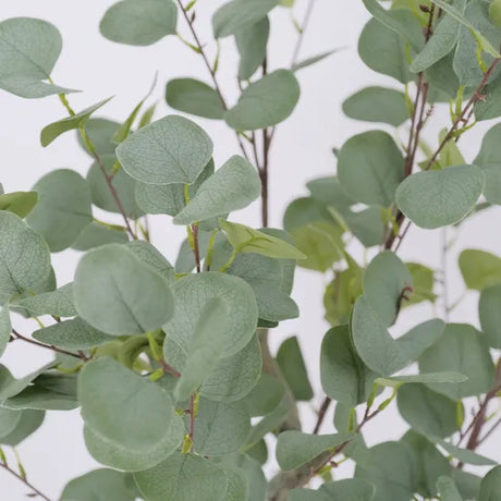 Artificial Eucalyptus Blue Gum Tree Plant - 130cm - Modern Teaching Aids NZ