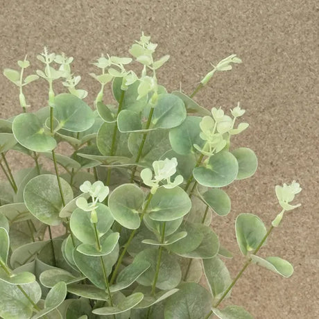 Artificial Green Baby Eucalyptus 38cm - Modern Teaching Aids NZ