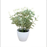 Artificial Green Baby Eucalyptus 38cm - Modern Teaching Aids NZ