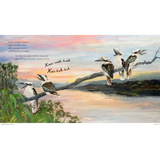 Kookaburra - Modern Teaching Aids NZ