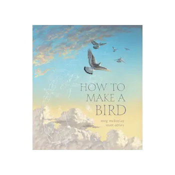 How to Make a Bird - Modern Teaching Aids NZ