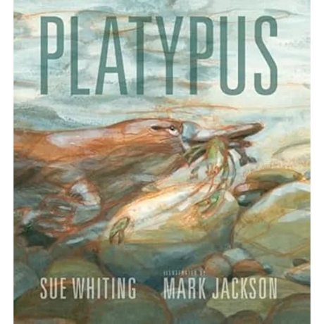 Platypus - Modern Teaching Aids NZ