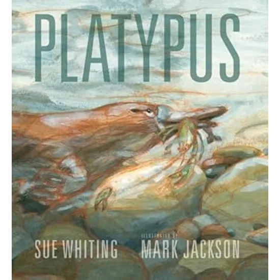 Platypus - Modern Teaching Aids NZ