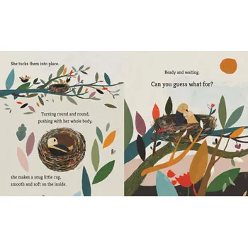 Bird Buids a Nest - Modern Teaching Aids NZ