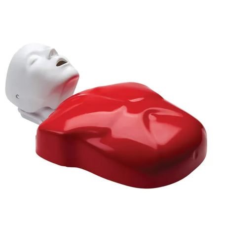 Basic Buddy CPR Manikin - Modern Teaching Aids NZ
