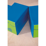 Animal Parade Dinosaur Set of 2 - Modern Teaching Aids NZ