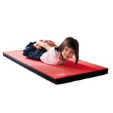 Weplay - Connecta-Mat Exercise Mat - Modern Teaching Aids NZ