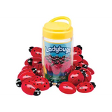 Ladybugs Counter Set & Activity Cards - Modern Teaching Aids NZ