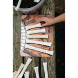 Dinosaur Bones Match and Measure Set - Modern Teaching Aids NZ