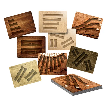 Dinosaur Bones & Activity Cards - Modern Teaching Aids NZ