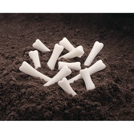 Dinosaur Bones Discovery Set of 12 - Modern Teaching Aids NZ