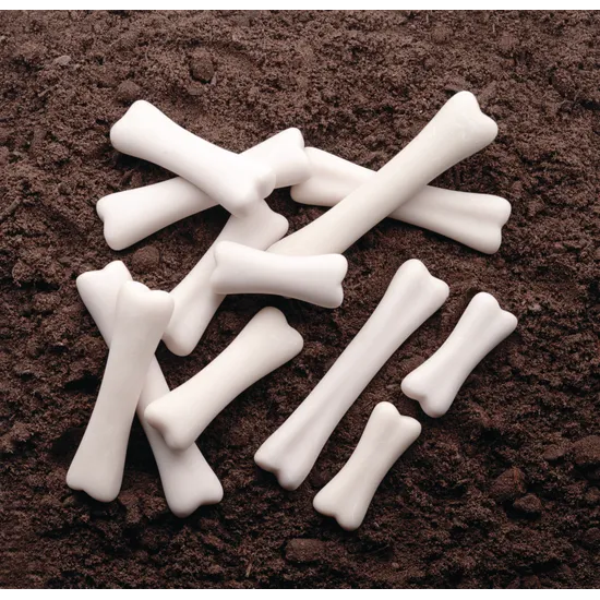 Dinosaur Bones Discovery Set of 12 - Modern Teaching Aids NZ