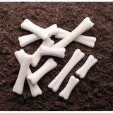 Dinosaur Bones Discovery Set of 12 - Modern Teaching Aids NZ