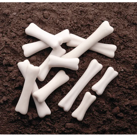 Dinosaur Bones Discovery Set of 12 - Modern Teaching Aids NZ