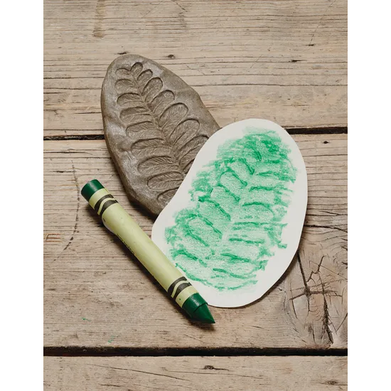 Play & Explore Fossils Set of 8 - Modern Teaching Aids NZ