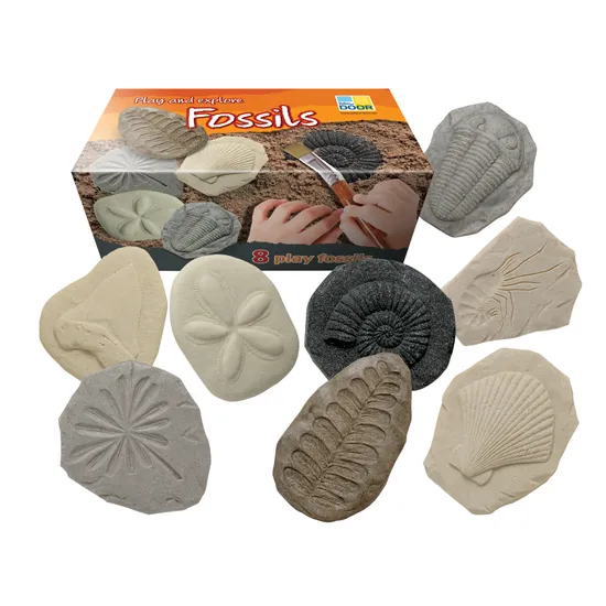 Play & Explore Fossils Set of 8 - Modern Teaching Aids NZ