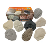 Play & Explore Fossils Set of 8 - Modern Teaching Aids NZ