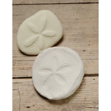 Play & Explore Fossils Set of 8 - Modern Teaching Aids NZ