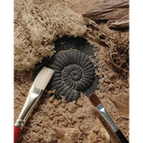 Play & Explore Fossils Set of 8 - Modern Teaching Aids NZ