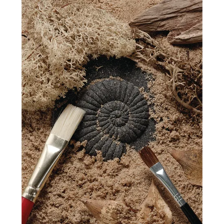 Play & Explore Fossils Set of 8 - Modern Teaching Aids NZ