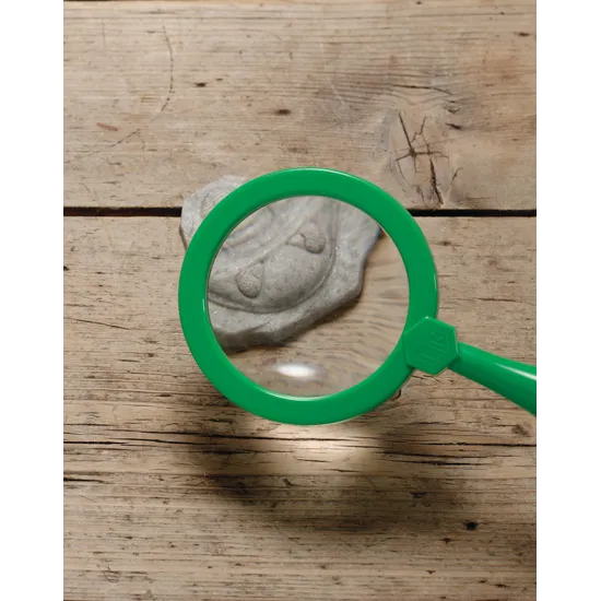 Play & Explore Fossils Set of 8 - Modern Teaching Aids NZ