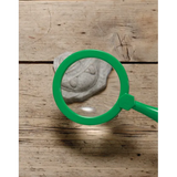 Play & Explore Fossils Set of 8 - Modern Teaching Aids NZ