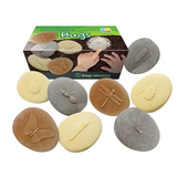 Play & Explore Bugs Set of 8 - Modern Teaching Aids NZ