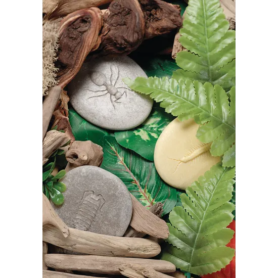 Play & Explore Bugs Set of 8 - Modern Teaching Aids NZ