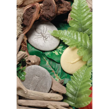 Play & Explore Bugs Set of 8 - Modern Teaching Aids NZ