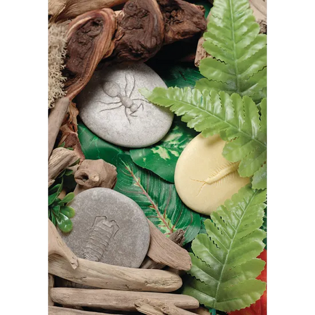 Play & Explore Bugs Set of 8 - Modern Teaching Aids NZ