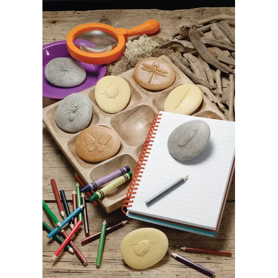 Play & Explore Bugs Set of 8 - Modern Teaching Aids NZ